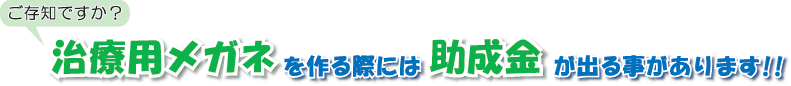 治療用メガネを作る際は助成金が出ることがあります
