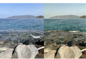 釣りとメガネとサングラスのお話 vol.1写真